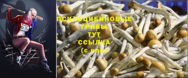 ПСИЛОЦИБИНОВЫЕ ГРИБЫ Абинск