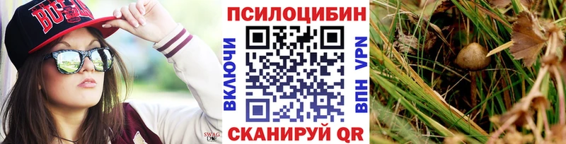MEGA ONION  Орёл  Псилоцибиновые грибы MAGIC MUSHROOMS 